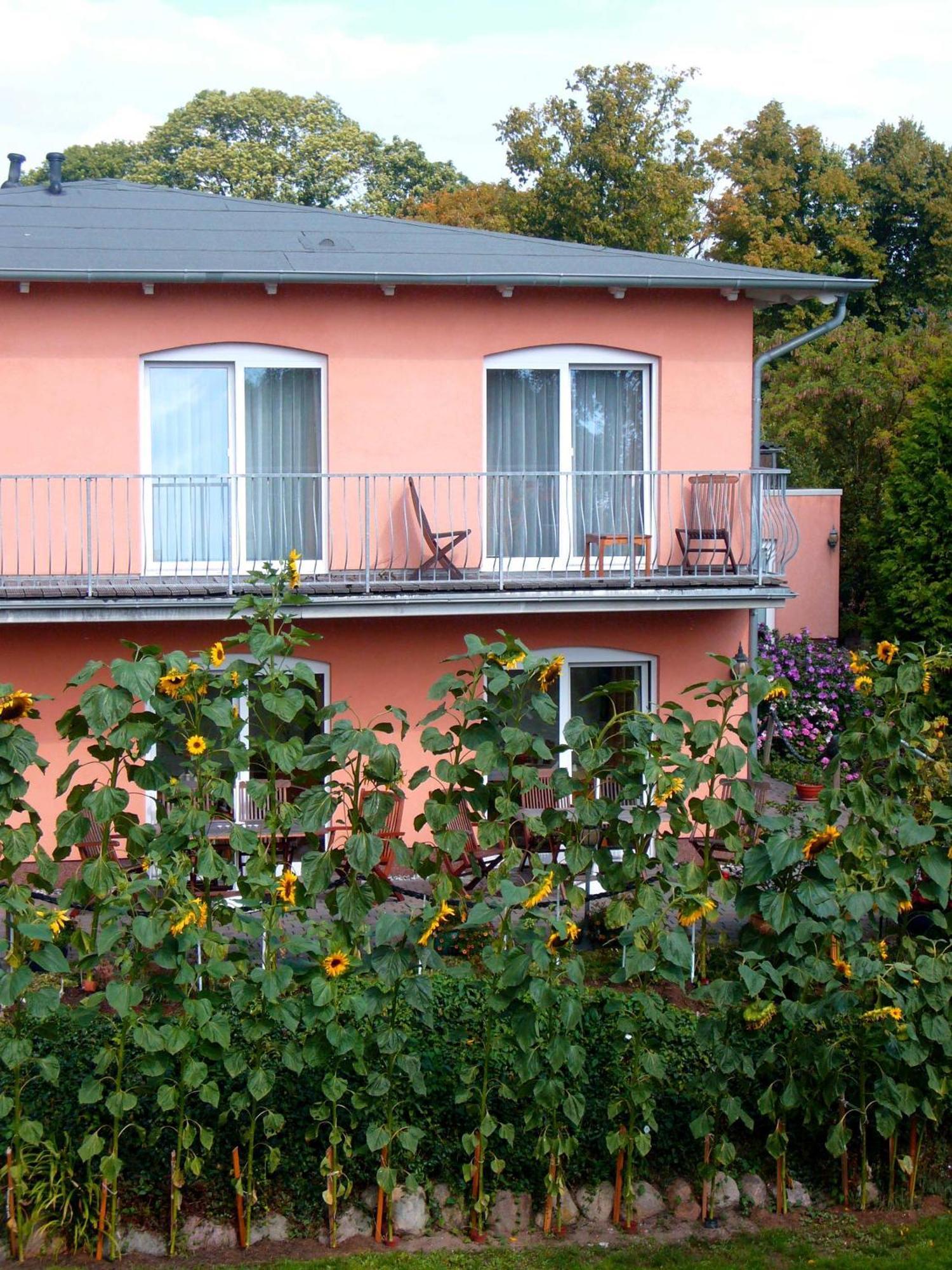 Pension Waldeck Goehren  Extérieur photo